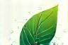 Sustainable Networking